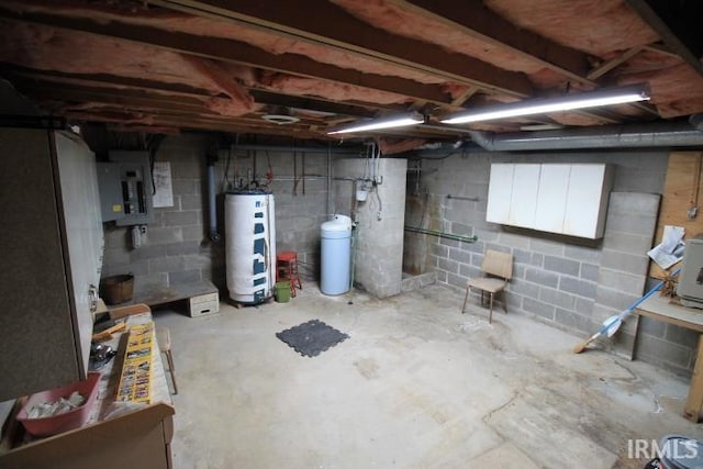 basement featuring electric panel and gas water heater