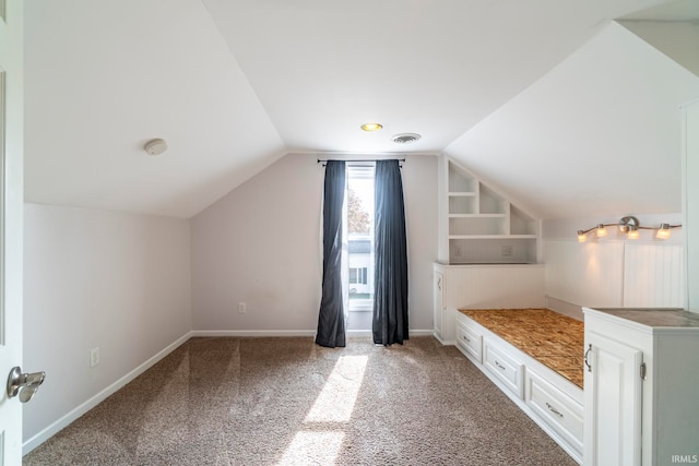 additional living space with vaulted ceiling and carpet flooring