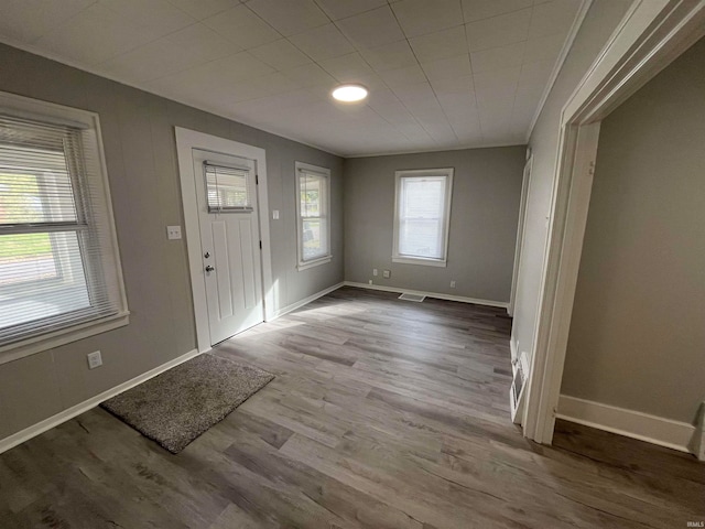 entryway with a healthy amount of sunlight and hardwood / wood-style flooring