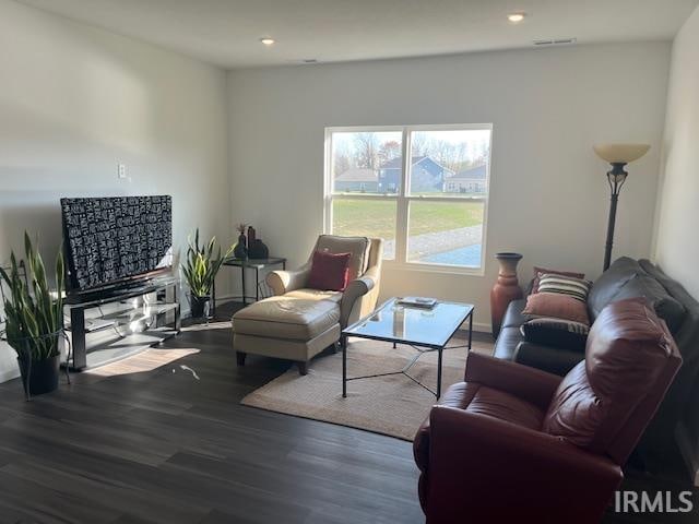 living room with dark hardwood / wood-style flooring