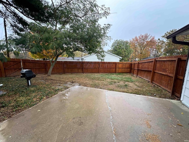 view of yard featuring a patio