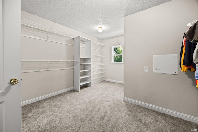 walk in closet featuring carpet