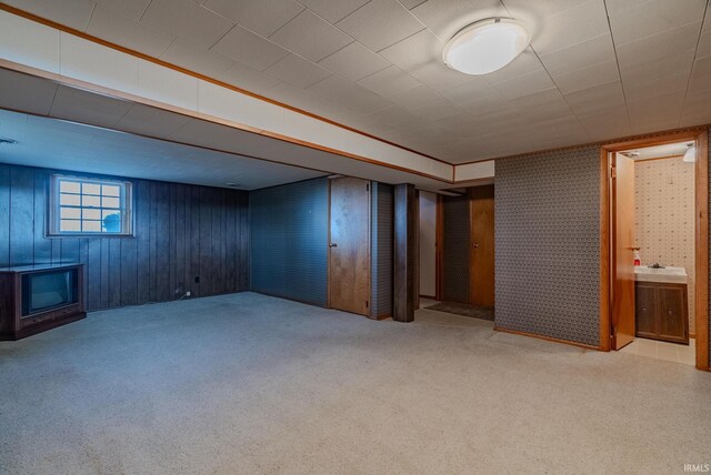 basement with light carpet, sink, and wooden walls
