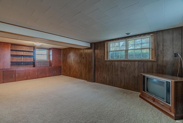 basement with light carpet and wooden walls