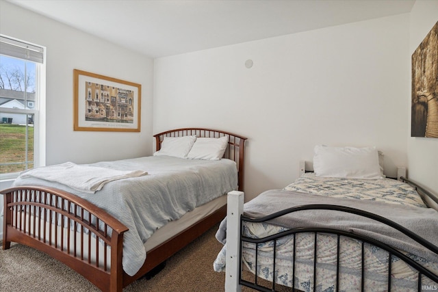 313 Tiger Ct, New Carlisle, IN 46552 - view of carpeted bedroom
