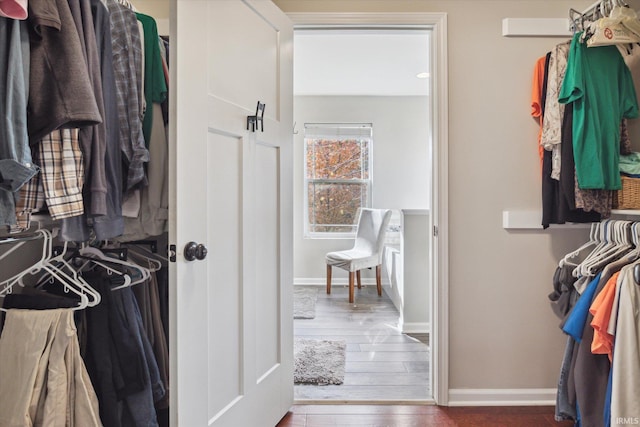 walk in closet featuring hardwood / wood-style flooring