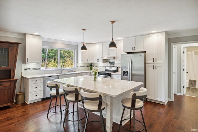 313 Tiger Ct, New Carlisle, IN 46552 - kitchen with stainless steel appliances, a sink, under cabinet range hood, dark wood-style flooring, and crown molding