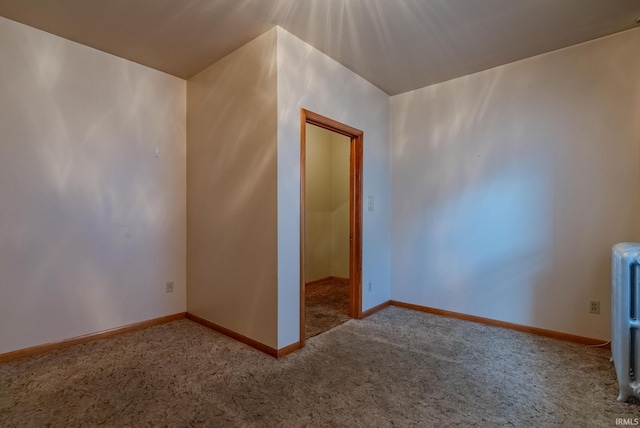 additional living space with carpet flooring