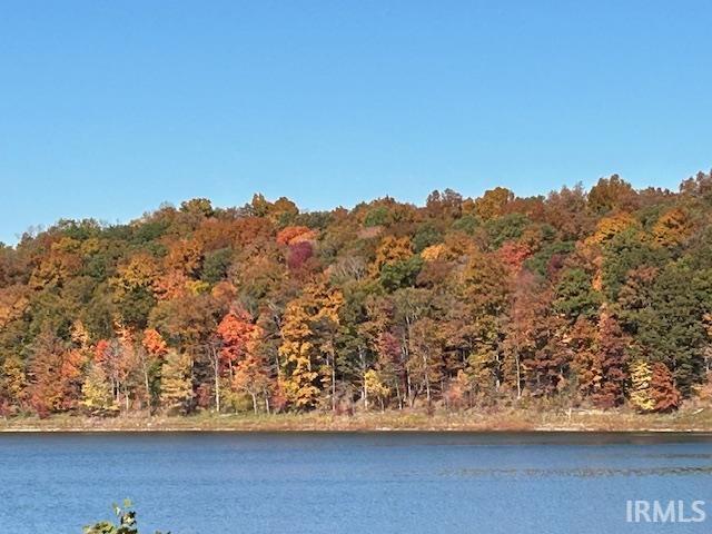 3210 Cedar Gap Ln, Birdseye, IN 47513 - water view with a forest