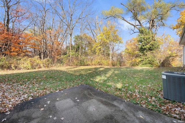 view of yard featuring central AC