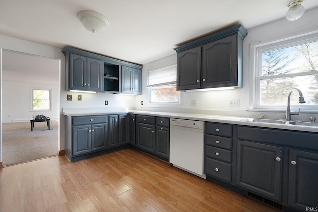 kitchen featuring white dishwasher, sink, and light hardwood / wood-style floors