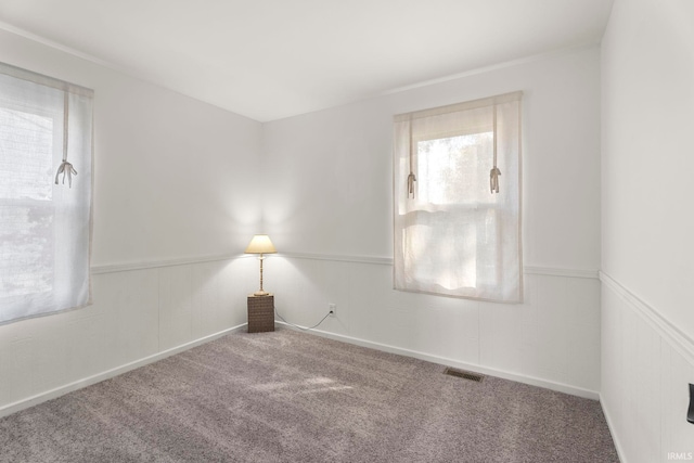 unfurnished room with carpet floors and plenty of natural light