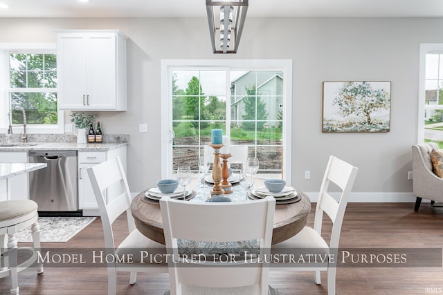 dining space featuring sink, plenty of natural light, and dark hardwood / wood-style floors