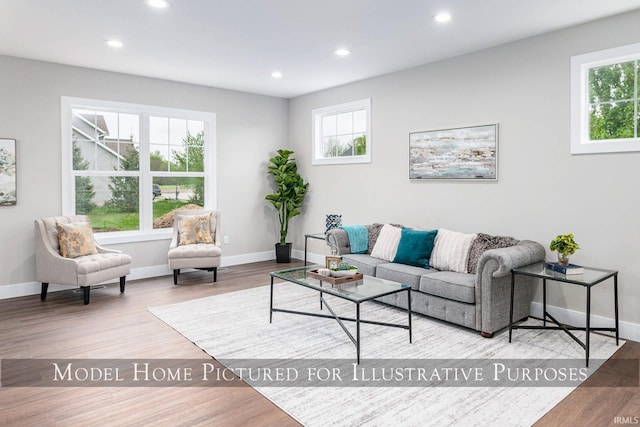 living room featuring hardwood / wood-style floors and a healthy amount of sunlight