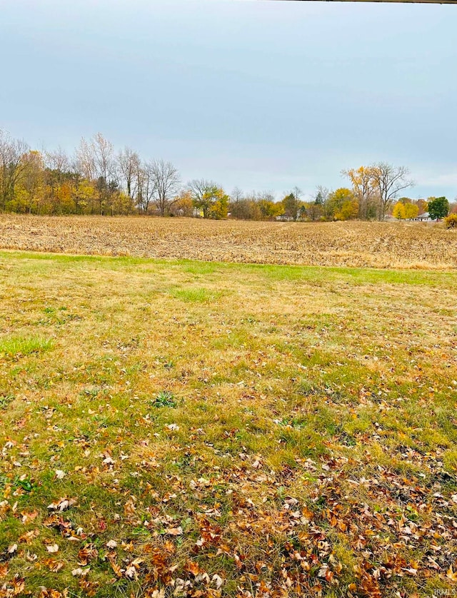 view of yard with a rural view