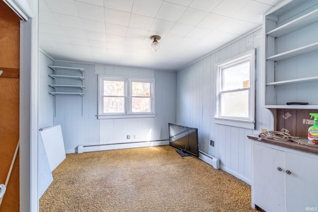 empty room with baseboard heating, a healthy amount of sunlight, wooden walls, and carpet