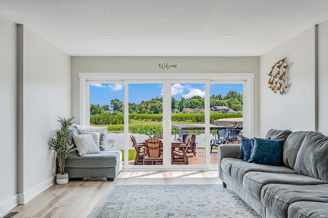 living room featuring a healthy amount of sunlight, a textured ceiling, and light hardwood / wood-style flooring