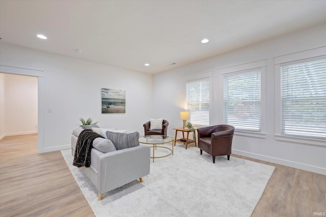 living room featuring light hardwood / wood-style floors and a healthy amount of sunlight