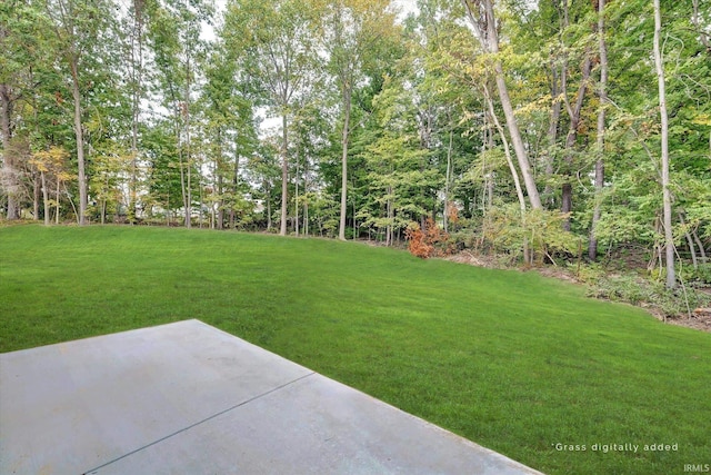 view of yard featuring a patio