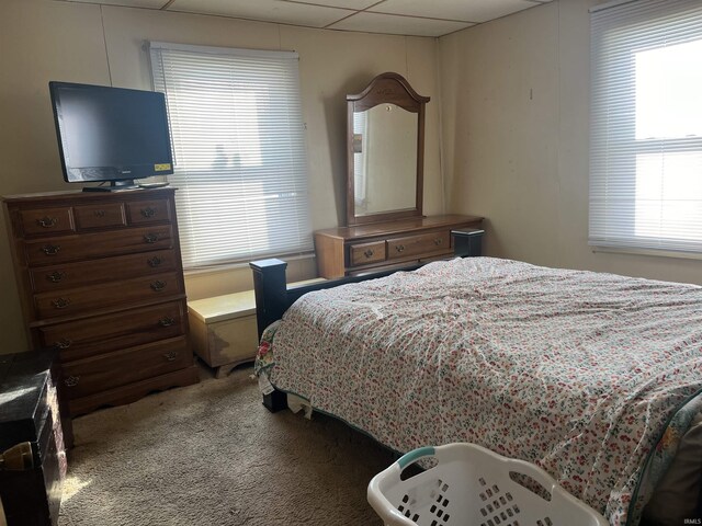 carpeted bedroom with a paneled ceiling