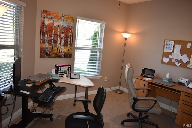 carpeted office featuring baseboards