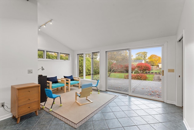 sunroom / solarium featuring a healthy amount of sunlight, track lighting, and lofted ceiling