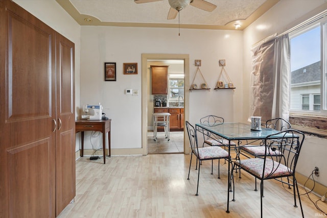 dining room featuring sink, a textured ceiling, light wood-type flooring, and ceiling fan