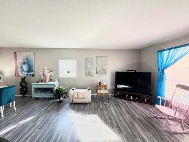 living room featuring hardwood / wood-style floors