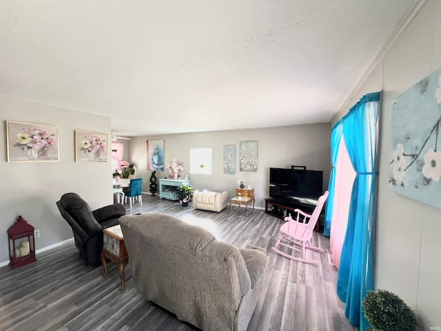 living room featuring a textured ceiling and wood-type flooring