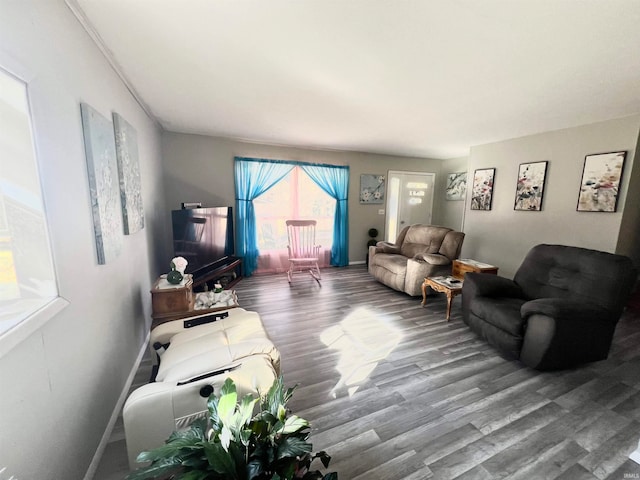 living room with wood-type flooring