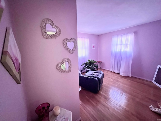 interior space featuring light hardwood / wood-style floors