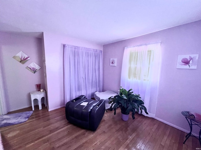 living area featuring hardwood / wood-style floors