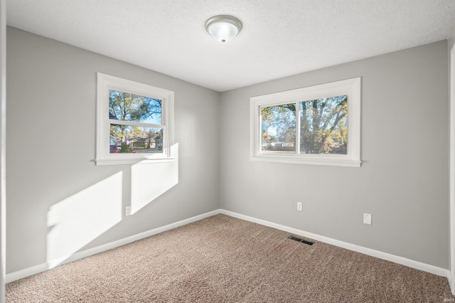 spare room featuring carpet, a textured ceiling, and plenty of natural light