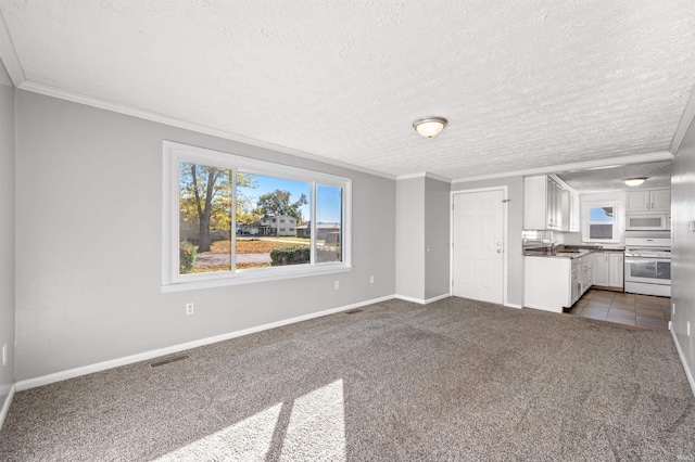 unfurnished living room with ornamental molding, carpet, a textured ceiling, and sink