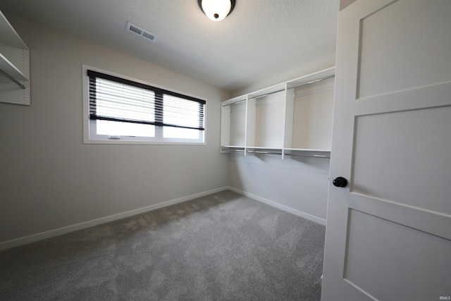 spacious closet featuring carpet floors