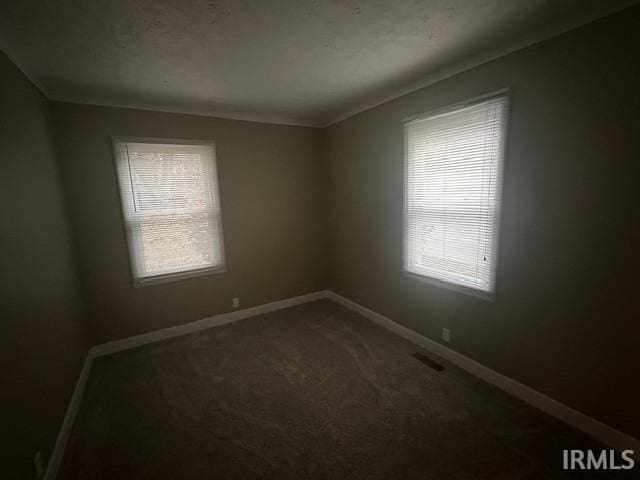 spare room featuring a wealth of natural light, crown molding, and carpet flooring