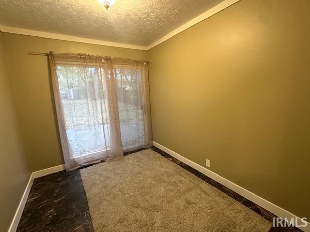 entryway with a wealth of natural light, carpet, and a textured ceiling