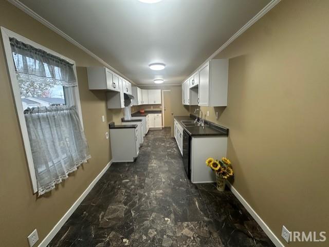 kitchen featuring white cabinetry, crown molding, and sink