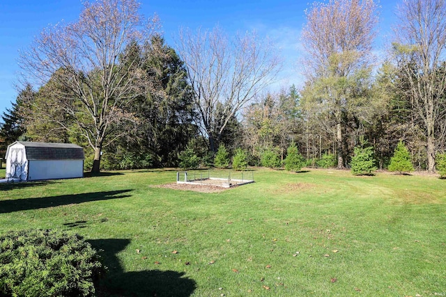 view of yard featuring a storage shed