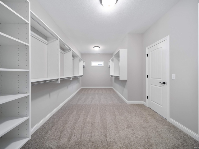 walk in closet featuring light colored carpet