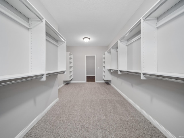 walk in closet with carpet flooring