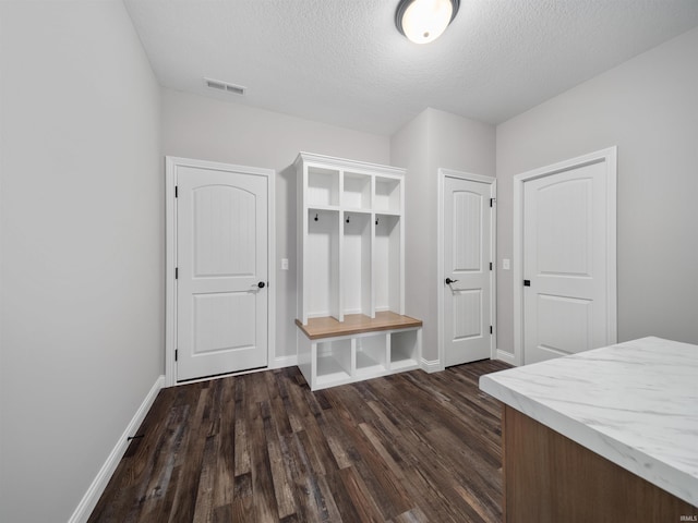 mudroom featuring dark hardwood / wood-style flooring and a textured ceiling