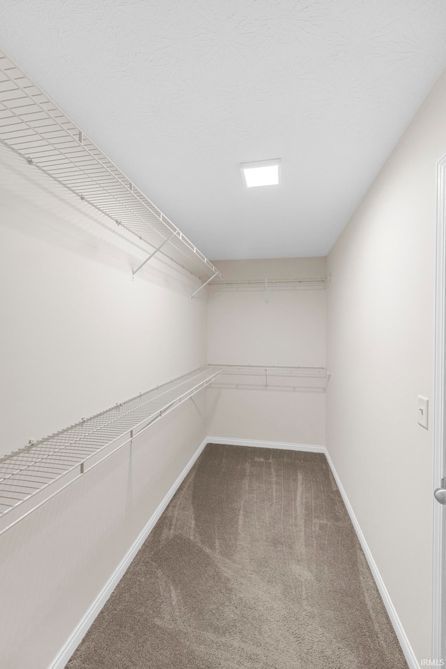 walk in closet with carpet floors