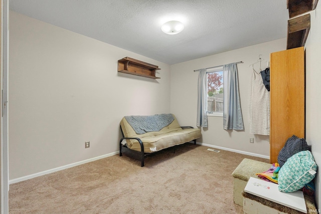 sitting room with a textured ceiling and carpet floors