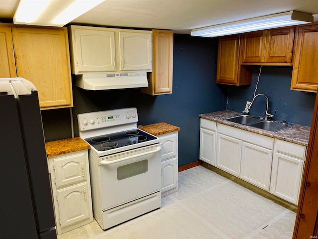 kitchen with black fridge, sink, range hood, and white electric stove