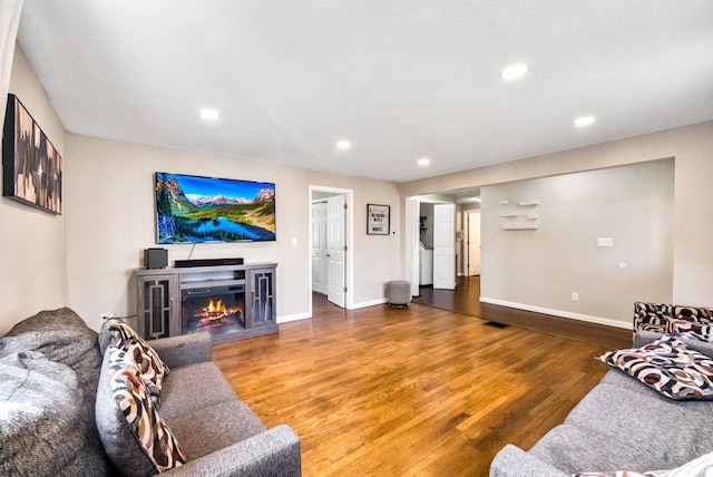 living room featuring wood-type flooring