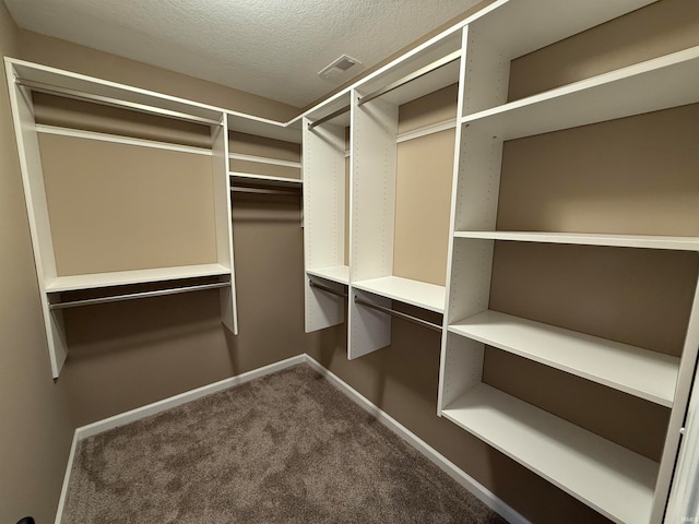 spacious closet with carpet flooring