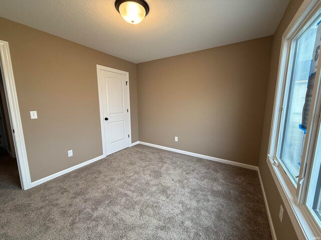 unfurnished room featuring a textured ceiling, a healthy amount of sunlight, and carpet flooring