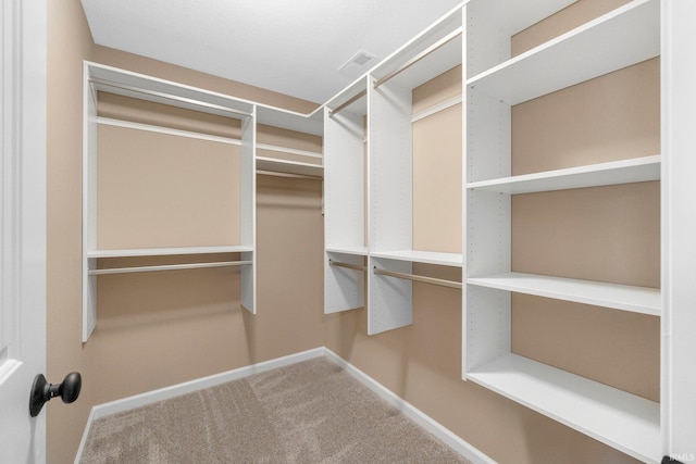 walk in closet featuring carpet floors