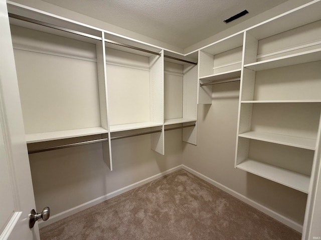 walk in closet featuring carpet floors